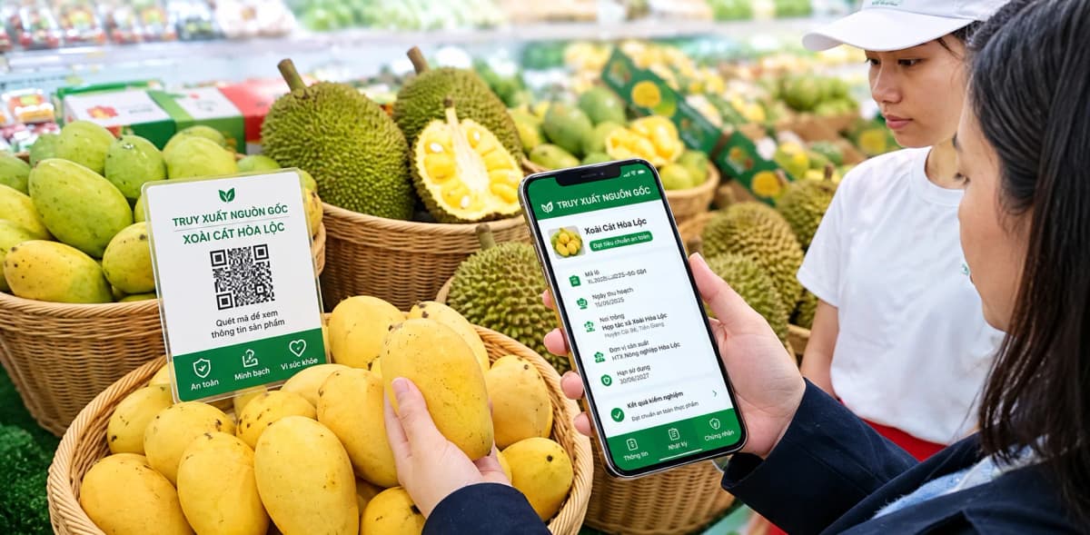 Dữ liệu truy xuất cần được lưu giữ trong bao lâu?
