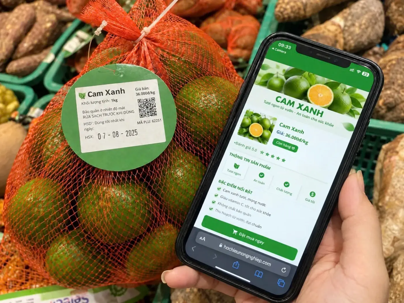 Điện thoại quét mã QR trên tem cam xanh và hiển thị hồ sơ sản phẩm