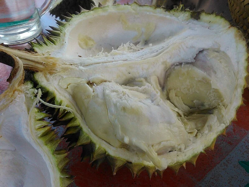 Sầu riêng